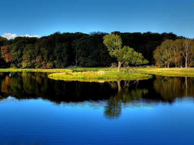 деревья, осень, природа, озеро, отражение