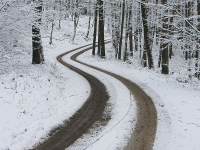 дорога, зима, снег, лес