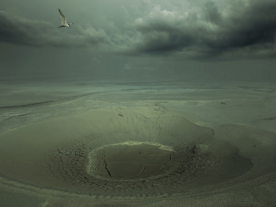 кратер, пустыня, птица