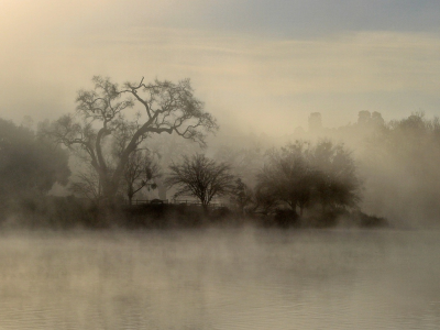 пейзаж, небо, trees, sky, озеро, деревья, туман, fog, landscape, nature, lake, природа