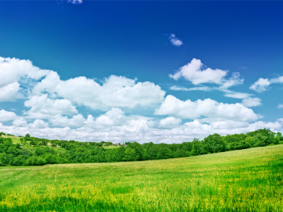 поле, природа, небо, деревья, пейзажи, облока