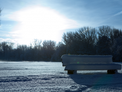 bench, в снегу, искрится, скамья, снег, день, парк, зима