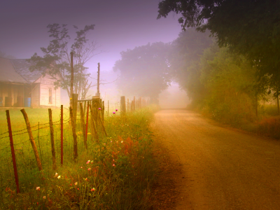 природа, дом, дорога, забор, утро, туман