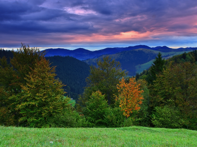 природа, закат, autumn hill, лес, холмы, пейзажи, осень