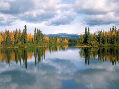 лес, озеро, canada, dragon lake, yukon, деревья, отражение, осень