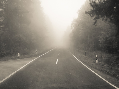 туман, дорога, лес, разметка, поворот