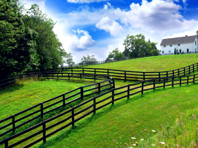 дорожка, ограда, природа, голубое, трава, сад, грядки, небо, домик, village cottage, деревенский, деревья