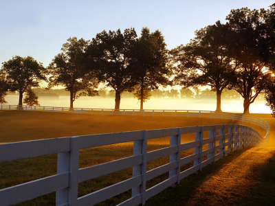 kentucky, туман, парк, забор, утренний, лучи, кентуки, morning mist, lexington, утро, дымка