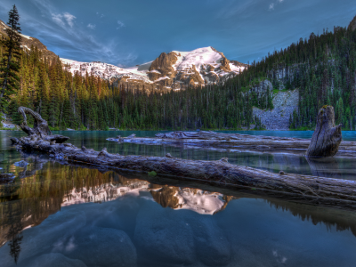 горы, деревья, canada, лес, озеро, ели