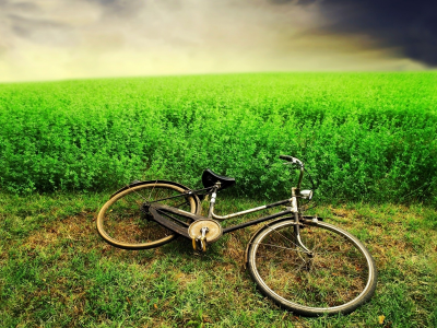 велосипед, горизонт, зелень, трава, тучи, поле, небо