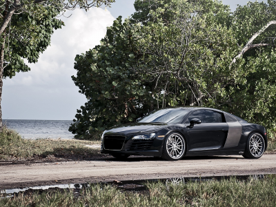 audi r8, листва, море