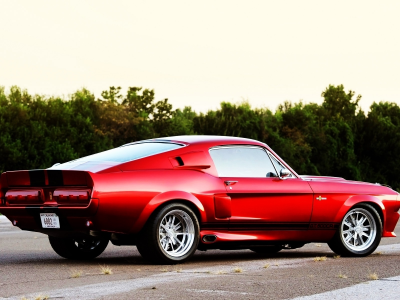 2011, cars, cr, auto, shelby gt500