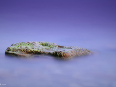 море, камень, водоросли