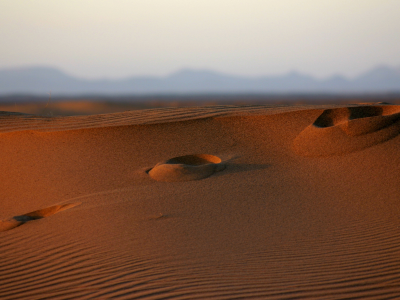 фото, widescreen wallpapers, ветер, песок, фокус, пустыня, следы, пустыни, макро, холмы, пески, пейзажи, африка