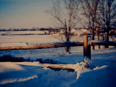 снег, деревья, мороз, забор, сугробы, природа, зима