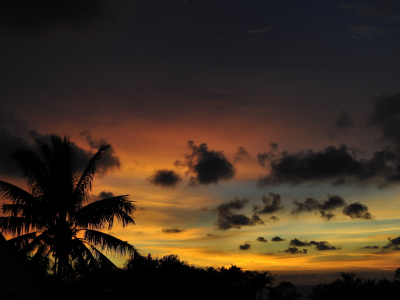 закат, пейзаж. вечер, солнца, природа, пальмы