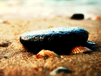 морская тематика, макро, песок, ракушки, камни, галька, пляж