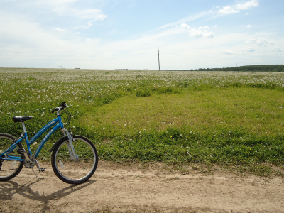 небо, одуванчики, лето, поле, дорога, велосипед, трава