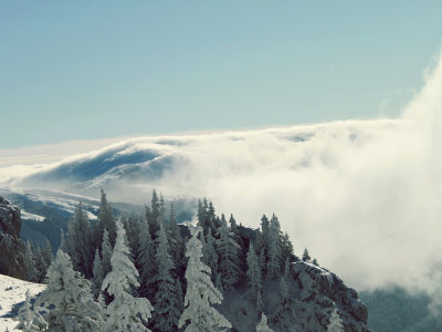 облака, зима, лес, горы