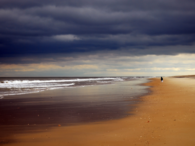 небо, горизонт, пейзаж, волны, море, берег, тучи, человек, песок