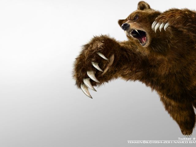 bear, games, tekken