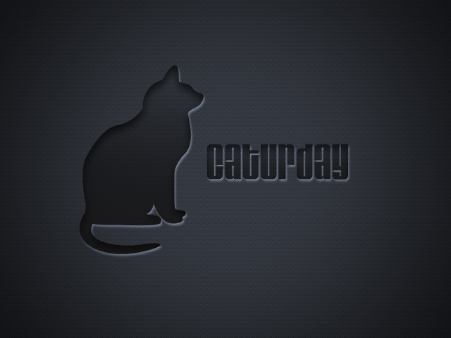1920x1200, кот, надпись, cat, word, кошка, lettering, минимализм, слово, minimalism