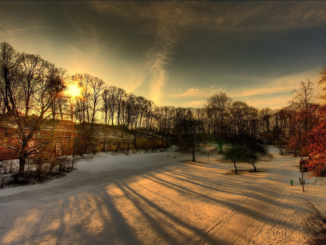 зима, лучи, солнце, парк, снег, деревья
