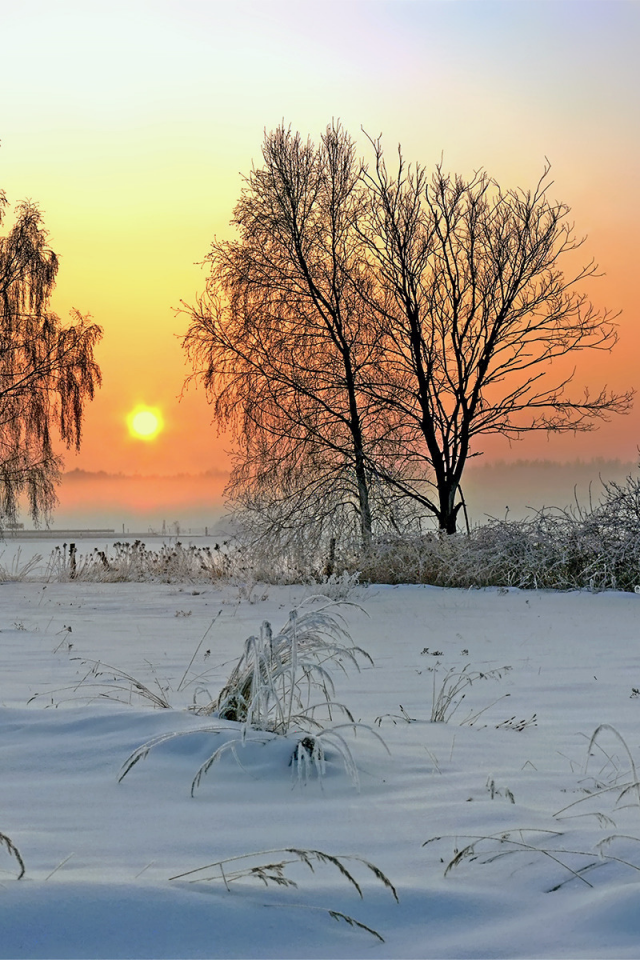 природа, восход, зима, солнце