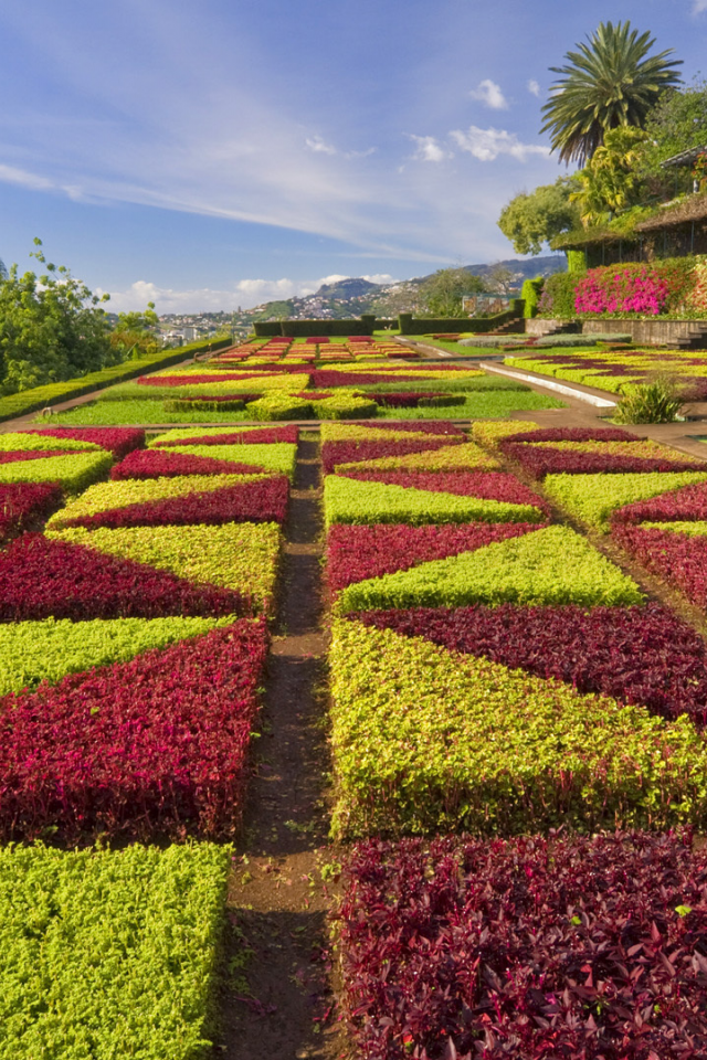 madeira, portugal, formal gardens