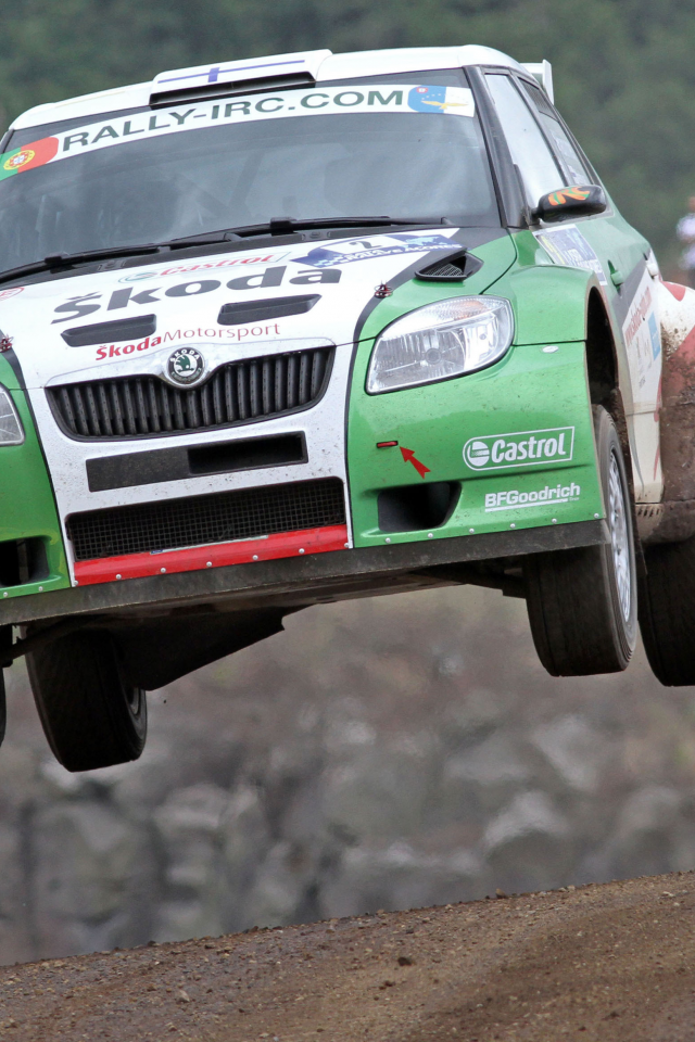 skoda fabia s2000, german car scene, intercontinental rally challenge, skoda - azores rally 2010