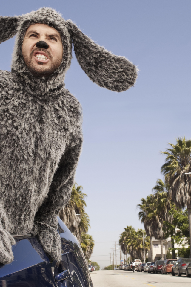 wilfred, сериал, уилфред