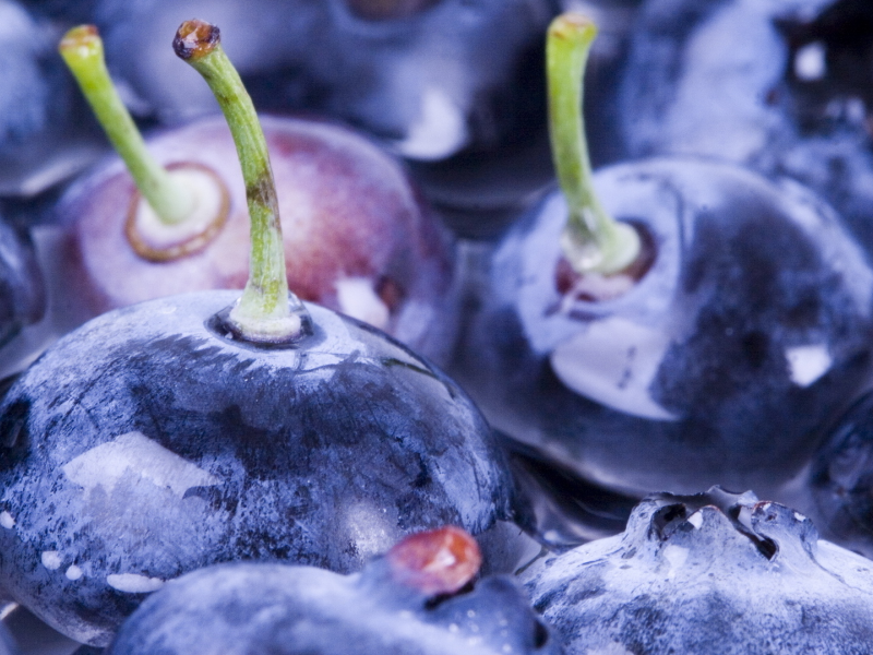 вода, water, черника, ягоды, berries, blueberry, макро, macro, 1920x1080