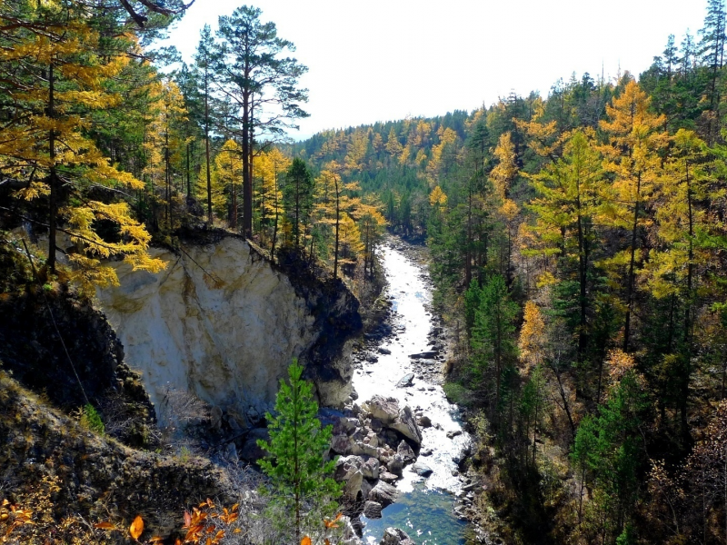 лес, осень, горы, река