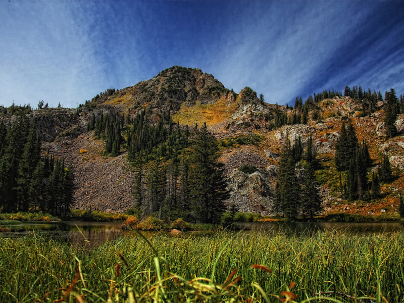 трава, the grass around lake martha, лес, озеро, гора