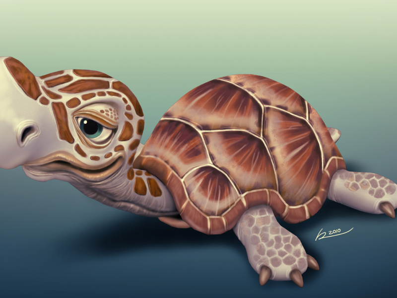 маленькая, p_o_r__turtle, черепашка