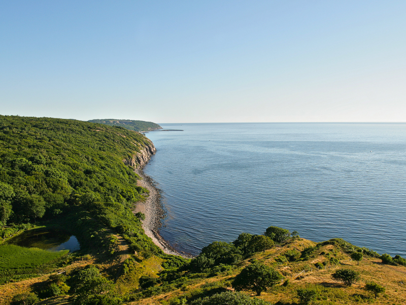 небо, дания, landscape, пейзажи, побережье, море, лес, холмы