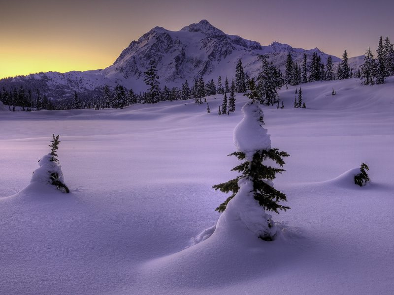 снег, зима, природа, горы, ёлки