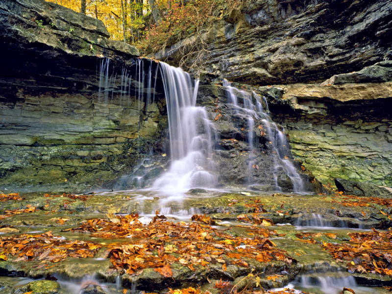 осень, водопад, листья