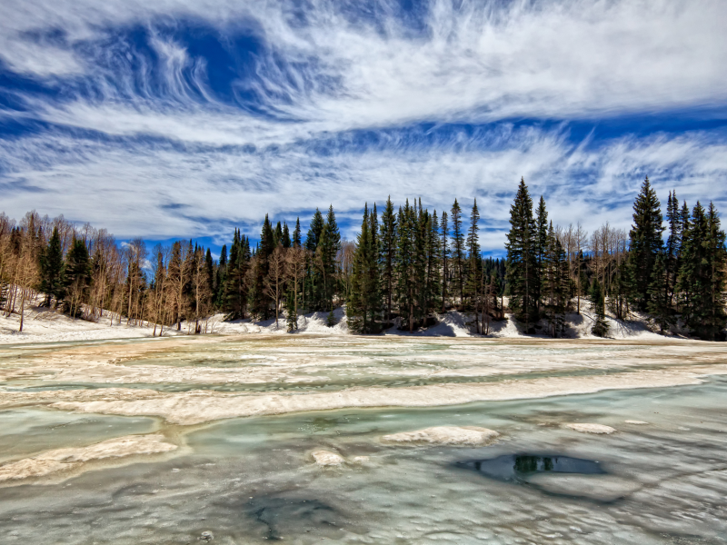 лес, зима, облака, весна, across ice of dog lake