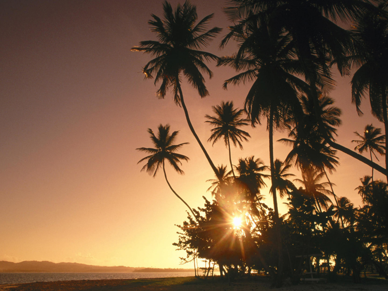 пейзаж, sun, sky, море, palm trees, пальмы, landscape, nature, 1920x1200, sea, солнце, sunset, природа, закат, небо