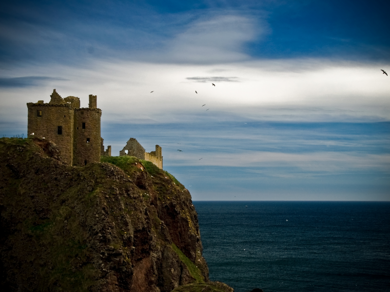 шотландия, чайки, данноттар, замок, море