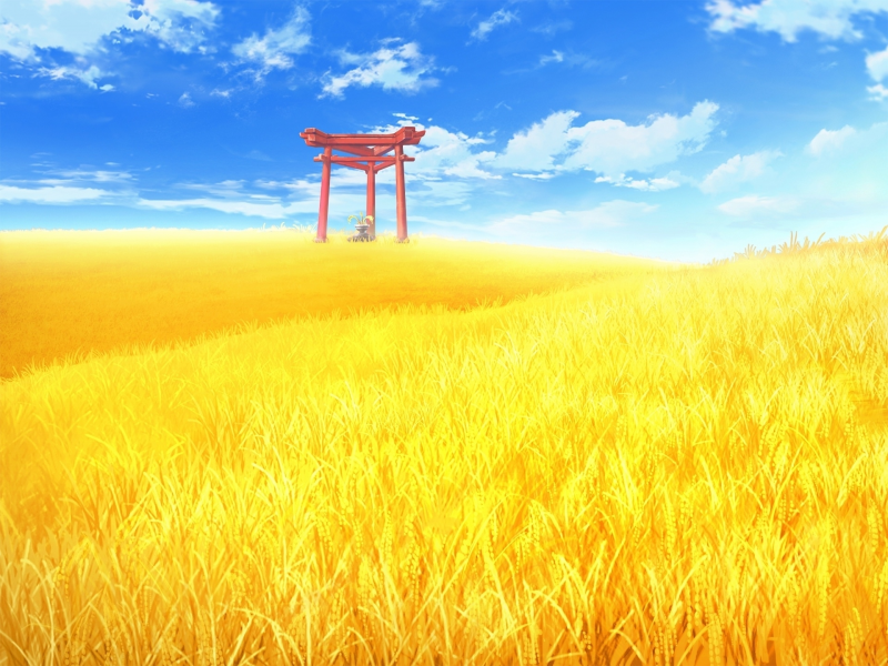 колосья, пшеница, love kami, поле, облака, ваза, врата, game, пейзаж