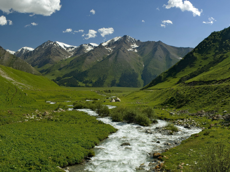 даль, зелень, снег, трава, речка, вершины, русло, горы