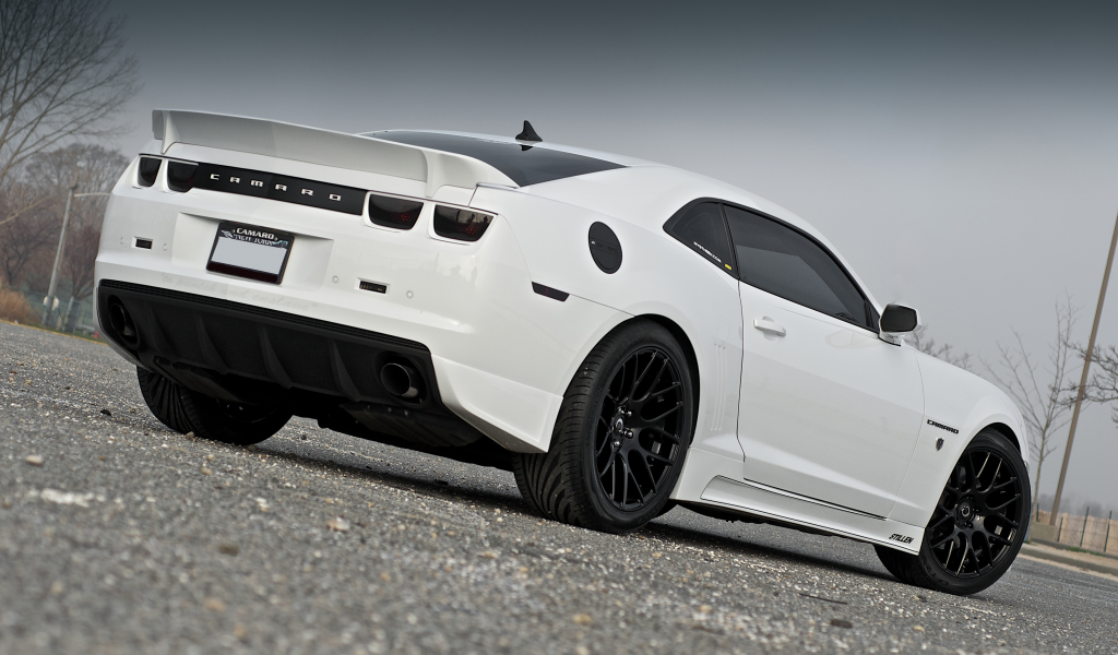 chevrolet, camaro, тюнинг, мускул кар, белый, white, камаро, шевроле, stillen, задняя часть