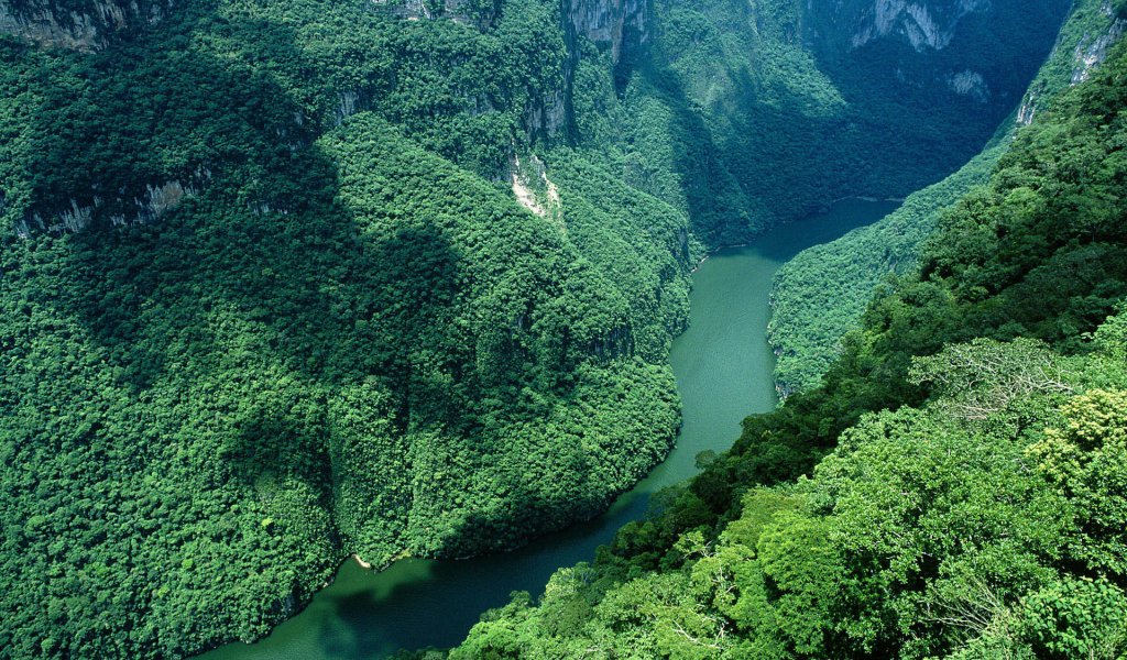 del sumidero, ca____n, mexico