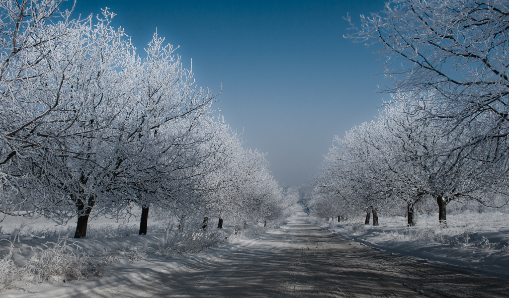 мороз, небо, снег, зима, дорога, деревья