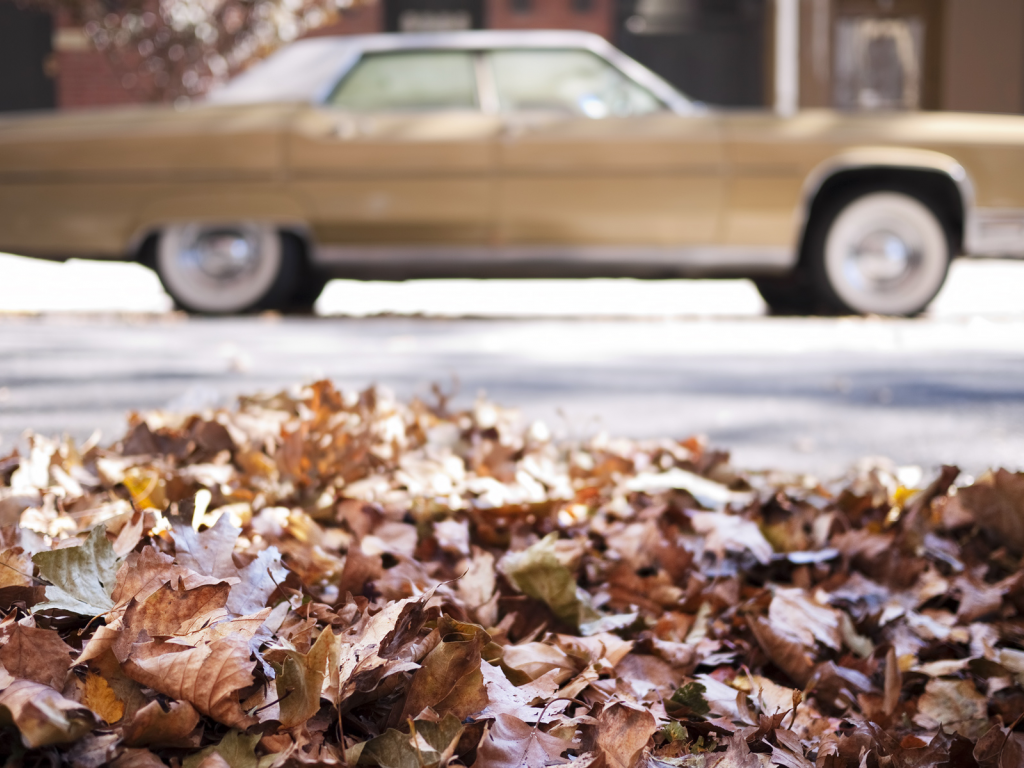 осень, машина, ретро, листья, расплывчатый фон, опавшие, макро