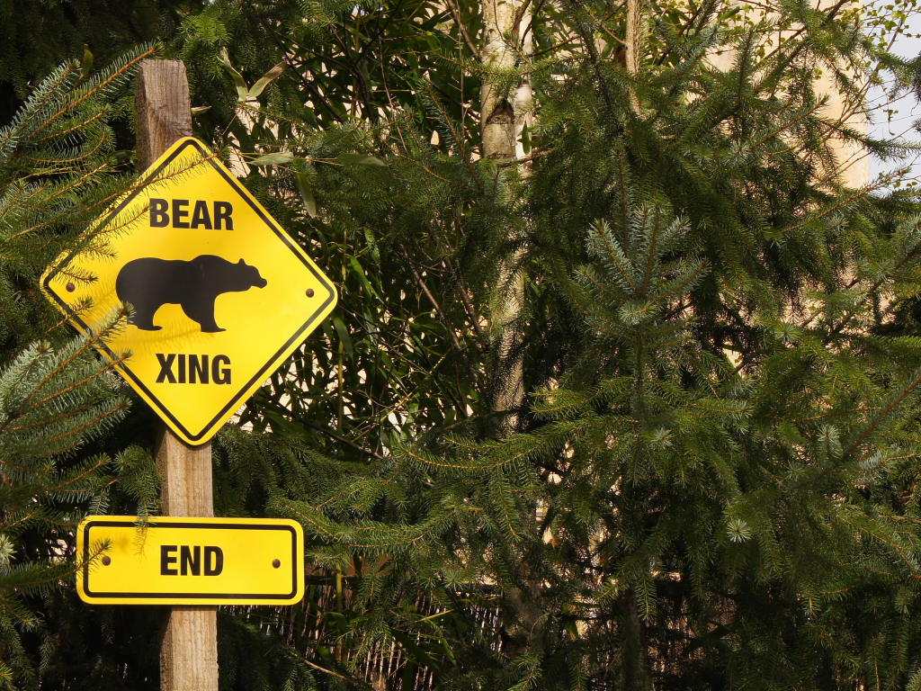 end, bear, zoo, logo