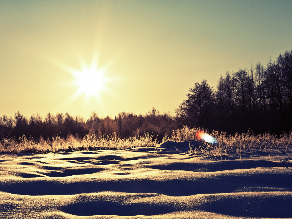 солнце, снег, сугробы, природа, деревья, зима