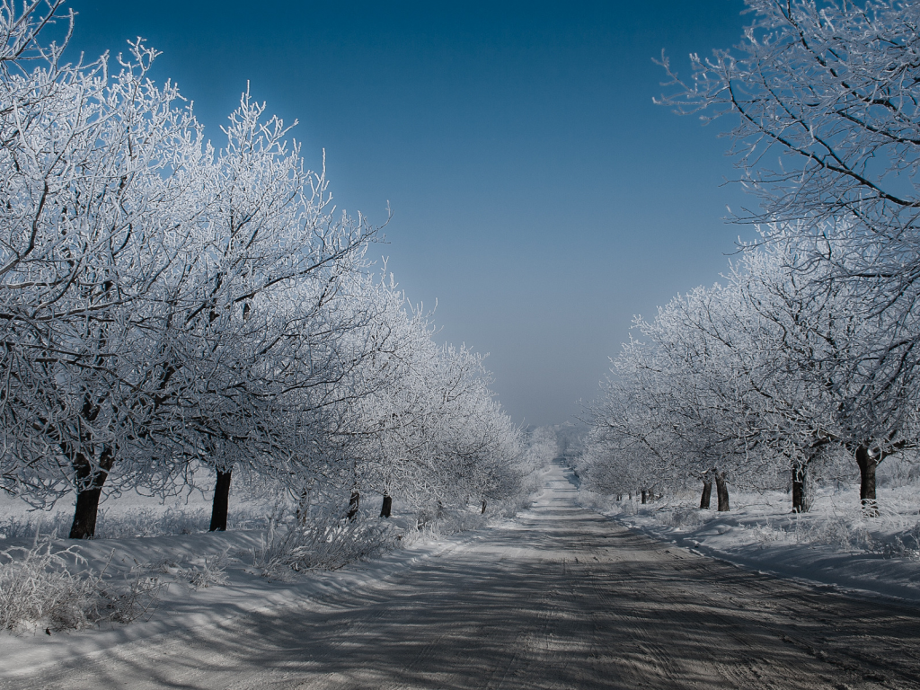 мороз, небо, снег, зима, дорога, деревья